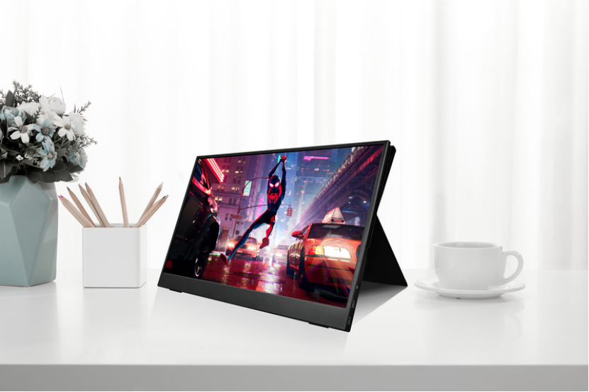 portable gaming display