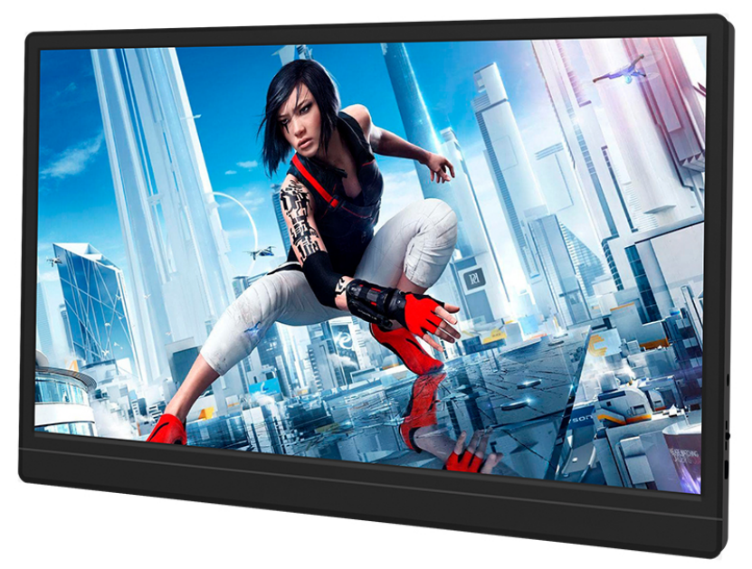 portable gaming display
